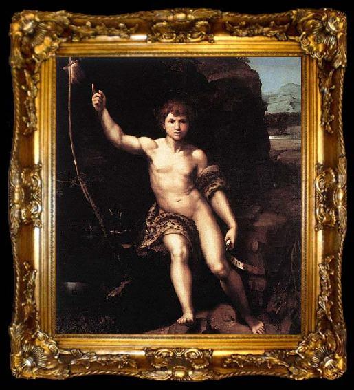 framed  RAFFAELLO Sanzio St John the Baptist, ta009-2